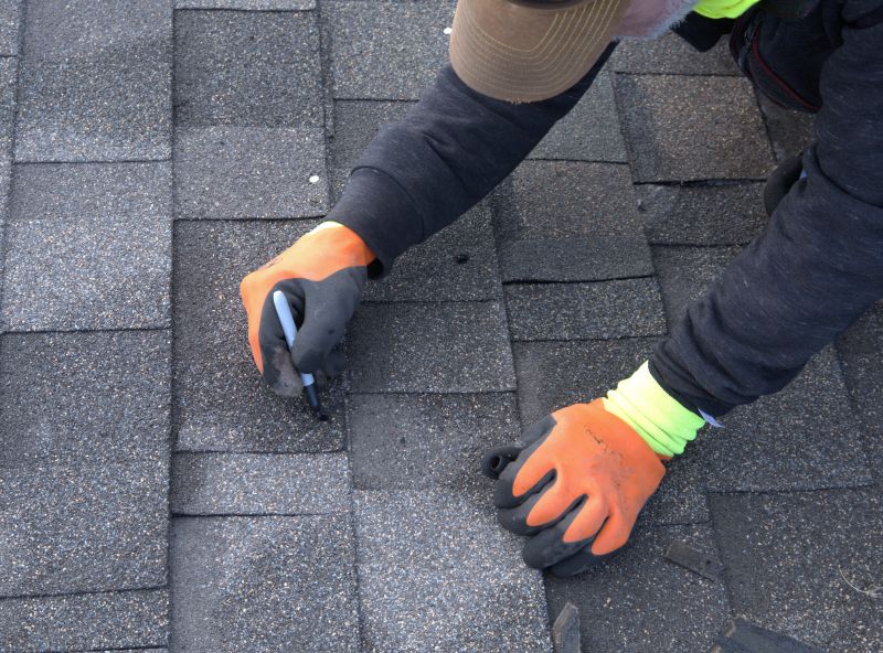 Expert Roofing Technician