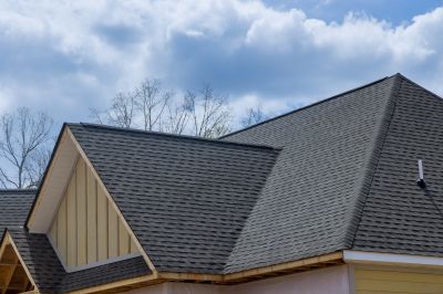 Specialized Roofing Experts